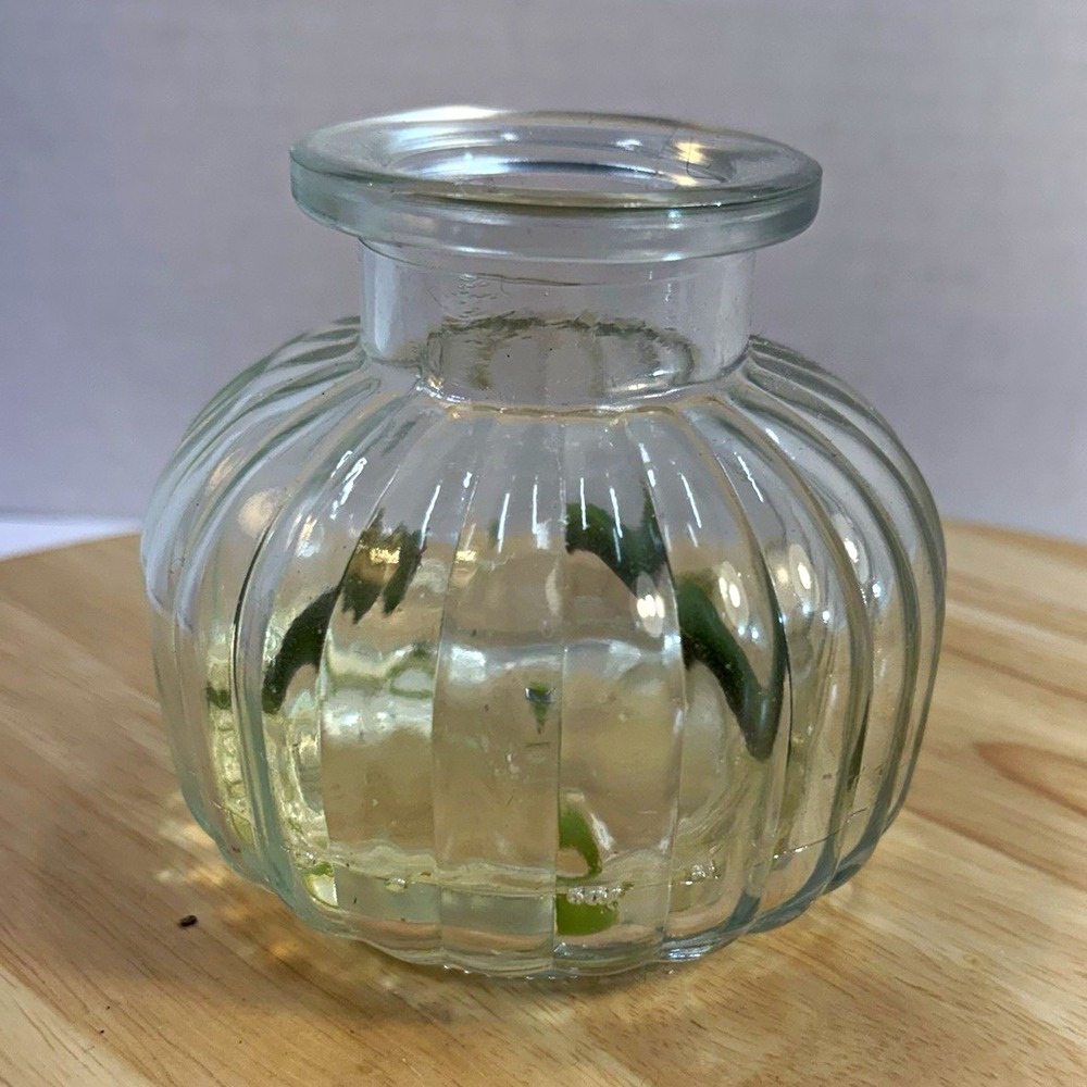 Clear Ribbed Pattern Glass Decorative Vase 3.5 in Tall Round Bud Vase